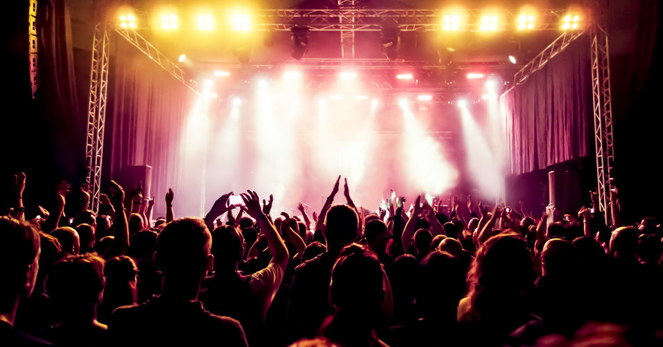 Concert Security Needs - security services for nightclubs and concerts